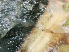 -令狐冲烤鱼·烧菜馆(达明店)