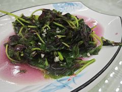 -望海潮海鲜店 特色家常菜(在海一方店)