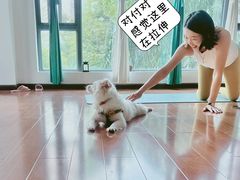 -VPsmart私教健身工作室(新华路旗舰店)