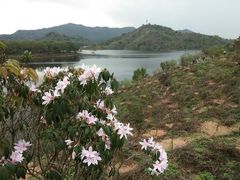 -高榜山景区