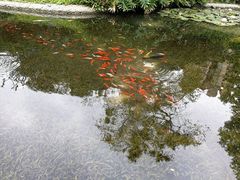 -晓港公园