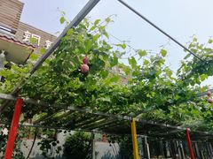 -钰田大院·碳烤虹鳟鱼·怀柔地道农家菜(雁栖湖店)