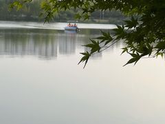 -桃花岛公园