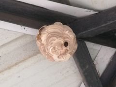 -碓臼峪自然风景区