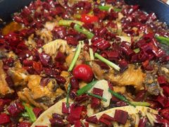 -老板恋上鱼(恒隆广场店)