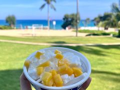 -冰椰岛椰冰(亚龙湾店)