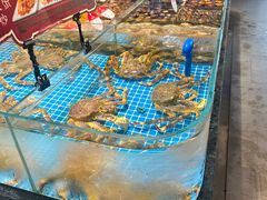 -连鹭海鲜·海肠捞饭·海胆饭(星海店)