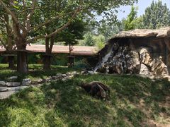 -北京野生动物园