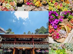 -寂照庵