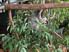 -热带雨林自然公园