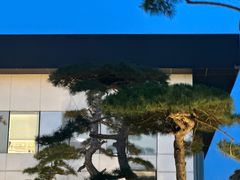 -罗红摄影艺术馆