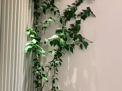 -墨宴(西洋湖店)