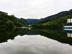 -江西阳明山国家森林公园