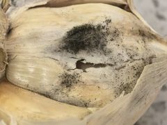 -老师家羊杂碎(延安总店)