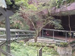 -香港大学