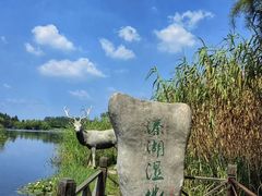 -溱湖国家湿地公园