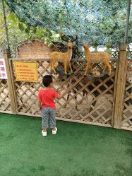 -萌宠亲子动物乐园(槐房万达店)