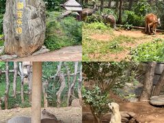 -云南野生动物园