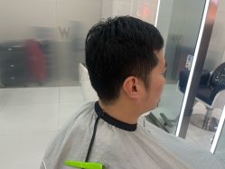 -东方麒麟·潘多拉SALON