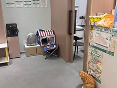 -派特宠物医院(圆融广场店)