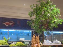 -锦粤宫·精致粤菜(深圳北站店)