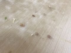 -津门永胜包子铺(哈尔滨道总店)