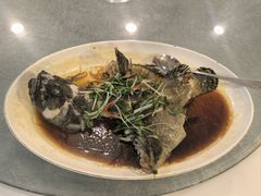 -永記粤菜·五指毛桃花雕鸡煲(九亭店)