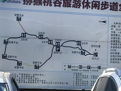 -大岭沟猕猴桃谷风景区