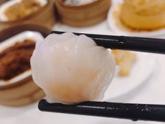 壹号虾饺皇-粤珍轩.创始店.始于2001(含光门店)