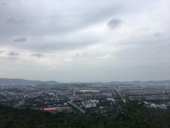 -阿男野栗王(金门路店)