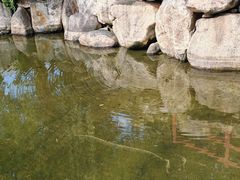 -唐城墙遗址公园