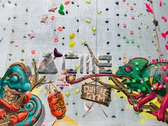 -尽峰攀岩 Acme Climbing