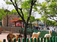 -无锡动物园·太湖欢乐园