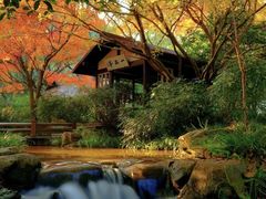 -中国茶叶博物馆(双峰馆区)