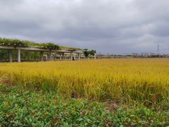 -嘉北郊野公园