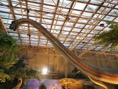 -国家自然博物馆