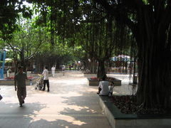 -东风公园