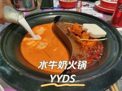 -生活如沸·顺德水牛奶火锅(大学路店)