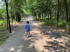 -中山市树木园