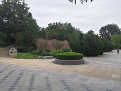 -元大都城垣遗址公园