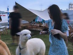 -Blue Concept Cafe&Farm·關於藍