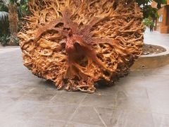 -龙达温泉生态城