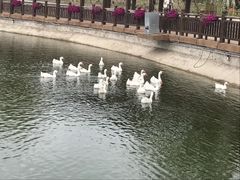 -水云涧温泉滑雪度假区