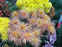 -杭州植物园