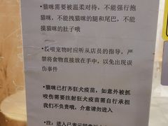 -楼上猫咖(罗湖店)