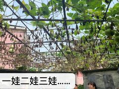 -广州神农草堂中医药博物馆