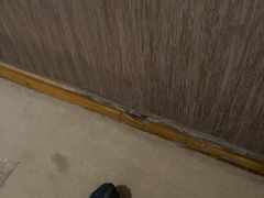 -峨眉山世纪阳光大酒店(峨眉高铁站店)