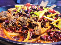 -老板恋上鱼(恒隆广场店)