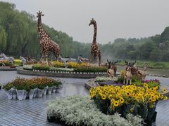 -北京野生动物园