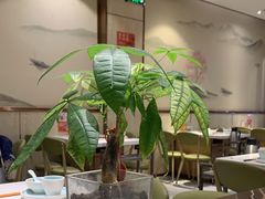 -古乐牛香鲜牛肉牛杂火锅(观前街店)